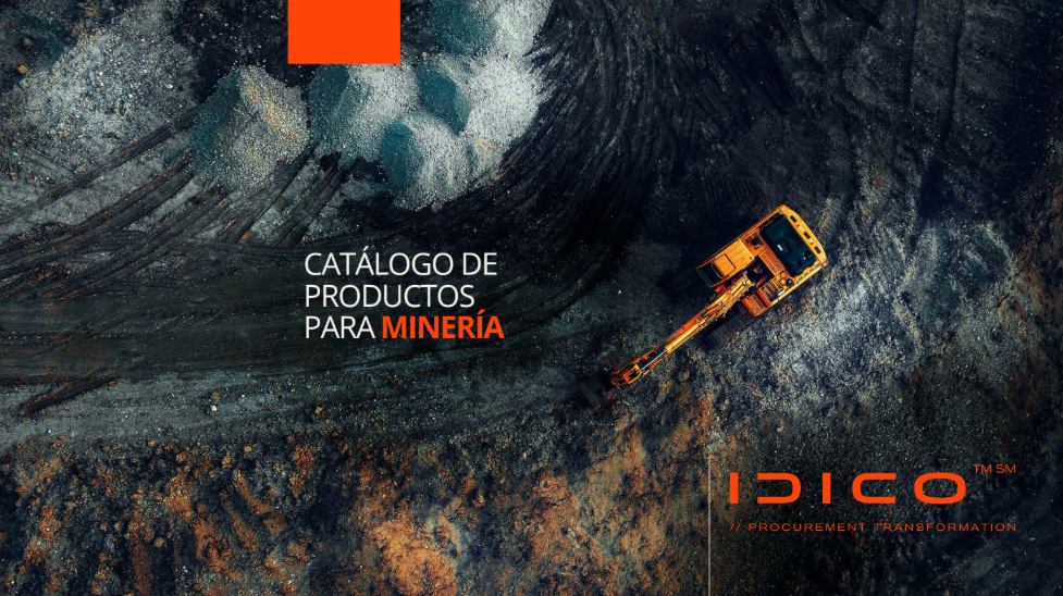 Vista previa del brochure